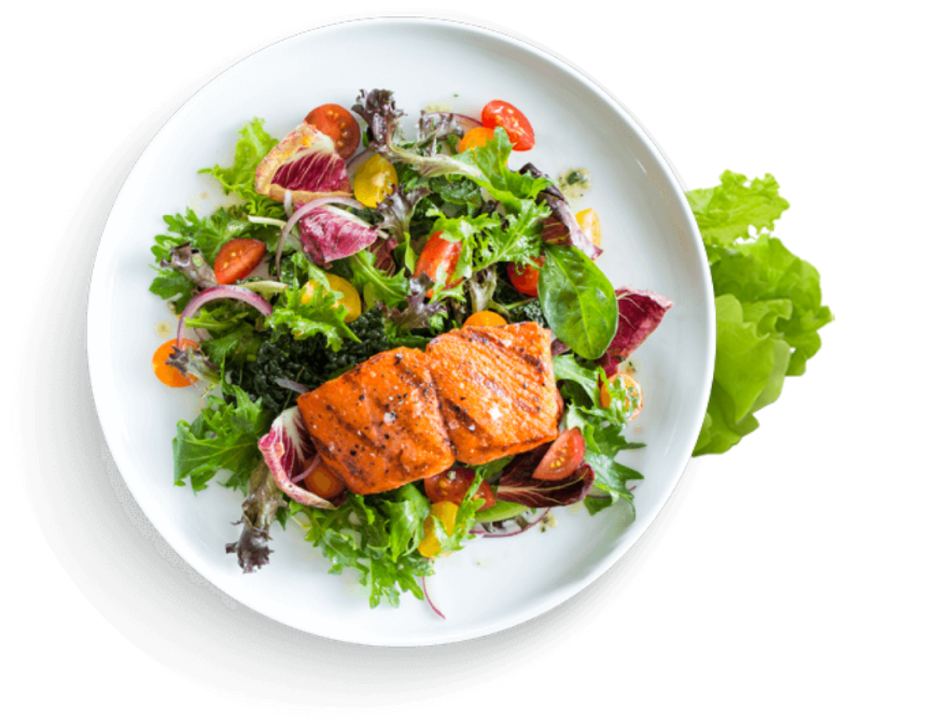 Food Plate
